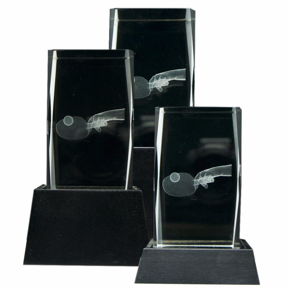 Pris till pingis i glas med graverad skylt