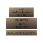 Vandringsprisplakett i bronsfärg