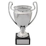 Liten pokal till budgetpris - Gravyr ingår i priset.
