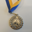 Medalj - Norrköping - ø50mm