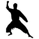 01_Karate