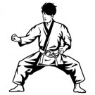06_Karate
